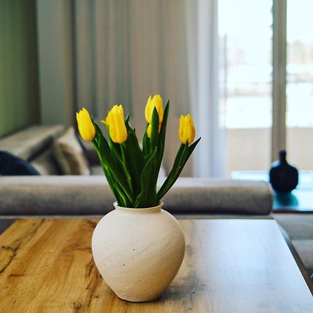 “The Elysian” City Center Apartment سالونيك المظهر الخارجي الصورة