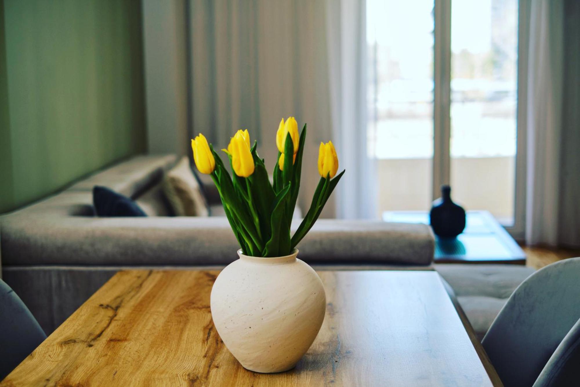 “The Elysian” City Center Apartment سالونيك المظهر الخارجي الصورة